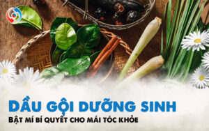 Dầu gội dưỡng sinh - Bật mí bí quyết cho mái tóc khỏe