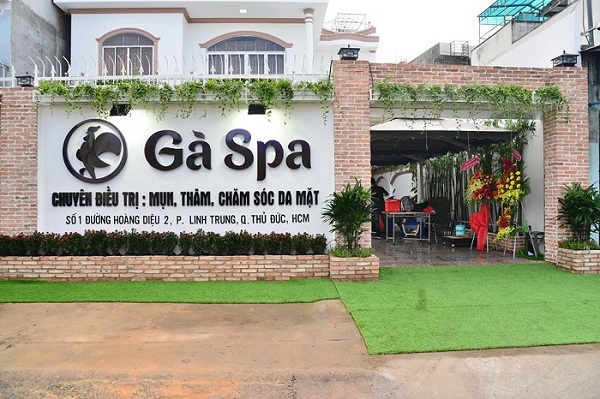 Spa Gà Spa